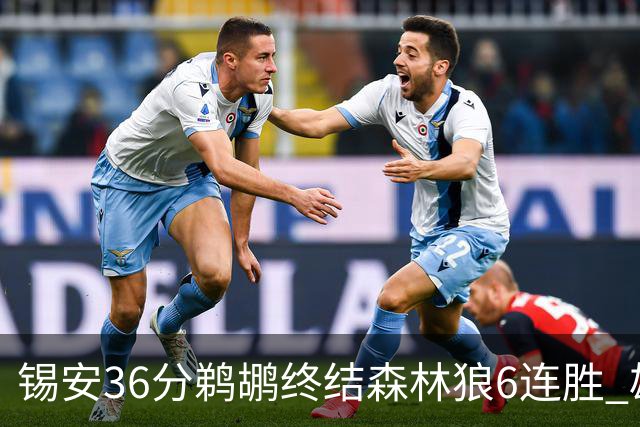 锡安36分鹈鹕终结森林狼6连胜 雄鹿险胜公牛